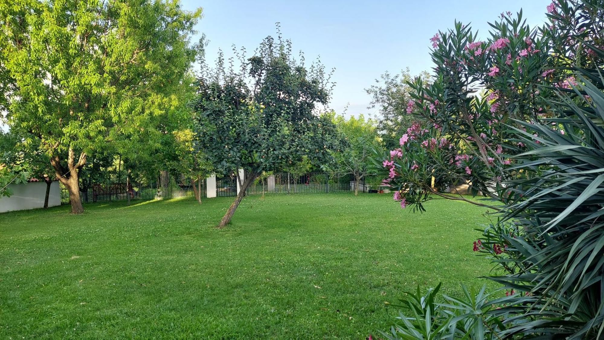 Apartment Oaza Relax โคเปร์ ภายนอก รูปภาพ